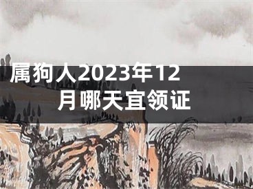 属狗人2023年12月哪天宜领证