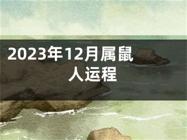 2023年12月属鼠人运程