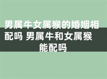男属牛女属猴的婚姻相配吗 男属牛和女属猴能配吗