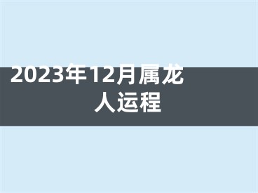 2023年12月属龙人运程