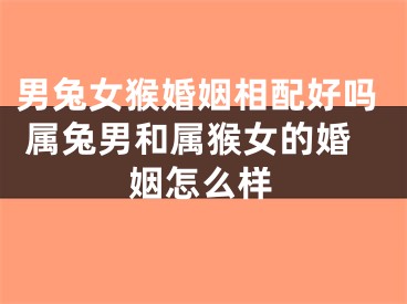 男兔女猴婚姻相配好吗 属兔男和属猴女的婚姻怎么样