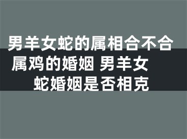 男羊女蛇的属相合不合 属鸡的婚姻 男羊女蛇婚姻是否相克