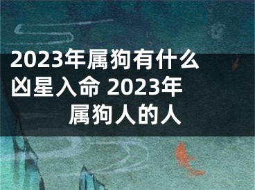 2023年属狗有什么凶星入命 2023年属狗人的人