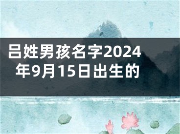吕姓男孩名字2024年9月15日出生的
