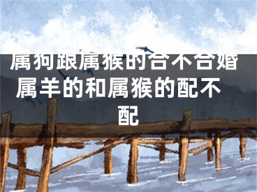 属狗跟属猴的合不合婚 属羊的和属猴的配不配