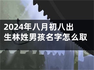 2024年八月初八出生林姓男孩名字怎么取
