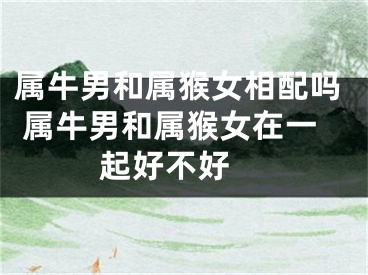 属牛男和属猴女相配吗 属牛男和属猴女在一起好不好 