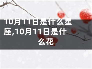 10月11日是什么星座,10月11日是什么花