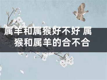 属羊和属猴好不好 属猴和属羊的合不合