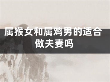 属猴女和属鸡男的适合做夫妻吗
