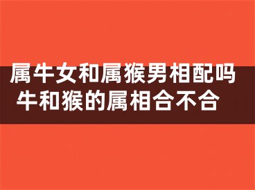 属牛女和属猴男相配吗 牛和猴的属相合不合