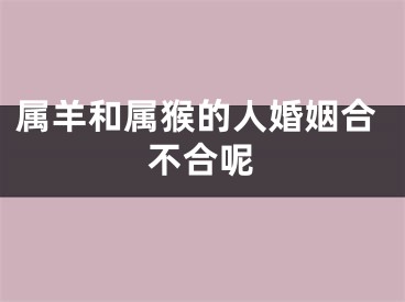 属羊和属猴的人婚姻合不合呢