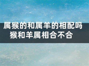 属猴的和属羊的相配吗 猴和羊属相合不合
