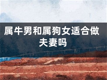 属牛男和属狗女适合做夫妻吗