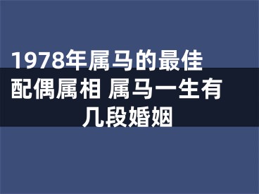 1978年属马的最佳配偶属相 属马一生有几段婚姻