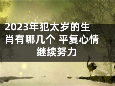 2023年犯太岁的生肖有哪几个 平复心情继续努力