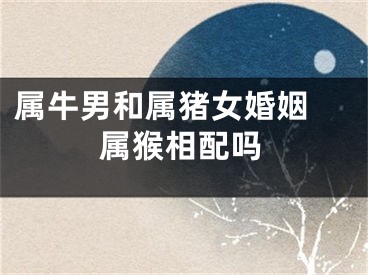 属牛男和属猪女婚姻 属猴相配吗