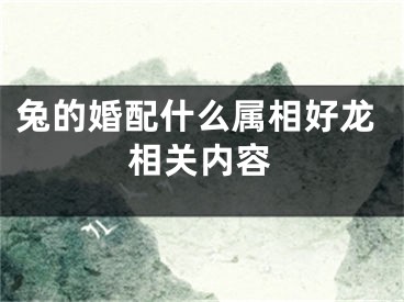 兔的婚配什么属相好龙相关内容