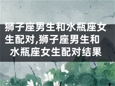 狮子座男生和水瓶座女生配对,狮子座男生和水瓶座女生配对结果