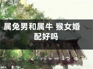 属兔男和属牛 猴女婚配好吗