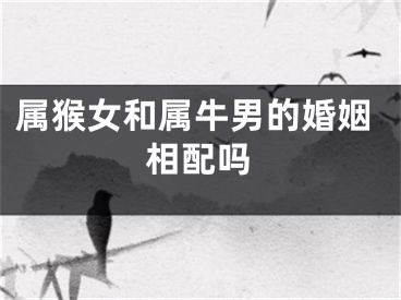 属猴女和属牛男的婚姻相配吗