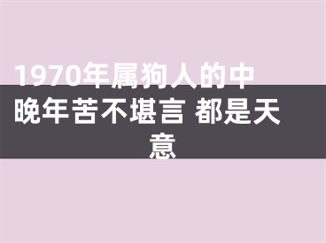 1970年属狗人的中晚年苦不堪言 都是天意