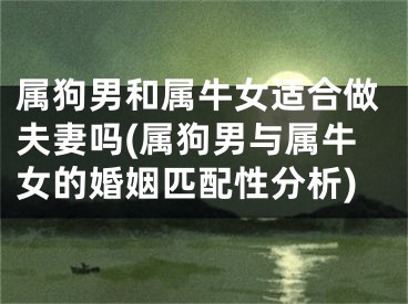 属狗男和属牛女适合做夫妻吗(属狗男与属牛女的婚姻匹配性分析)