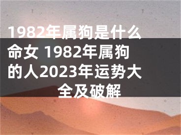 1982年属狗是什么命女 1982年属狗的人2023年运势大全及破解