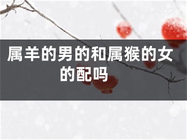 属羊的男的和属猴的女的配吗 