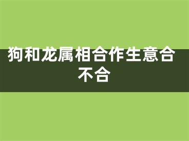 狗和龙属相合作生意合不合