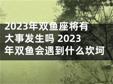2023年双鱼座将有大事发生吗 2023年双鱼会遇到什么坎坷