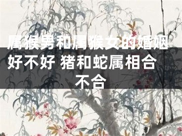 属猴男和属猴女的婚姻好不好 猪和蛇属相合不合