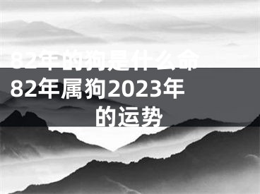 82年的狗是什么命 82年属狗2023年的运势