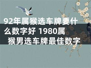 92年属猴选车牌要什么数字好 1980属猴男选车牌最佳数字