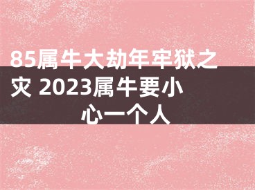 85属牛大劫年牢狱之灾 2023属牛要小心一个人