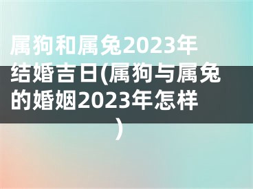 属狗和属兔2023年结婚吉日(属狗与属兔的婚姻2023年怎样)