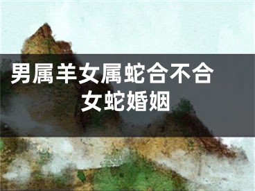 男属羊女属蛇合不合 女蛇婚姻