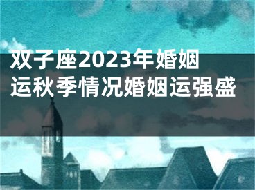 双子座2023年婚姻运秋季情况婚姻运强盛 