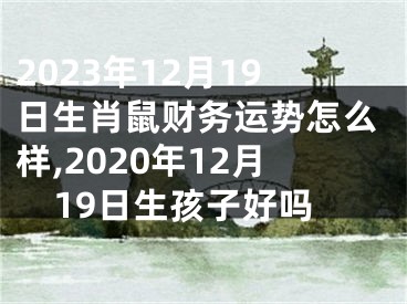 2023年12月19日生肖鼠财务运势怎么样,2020年12月19日生孩子好吗