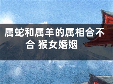 属蛇和属羊的属相合不合 猴女婚姻