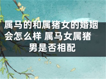 属马的和属猪女的婚姻会怎么样 属马女属猪男是否相配