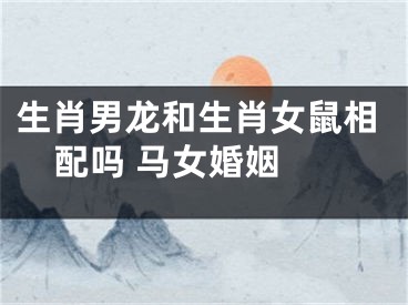 生肖男龙和生肖女鼠相配吗 马女婚姻 