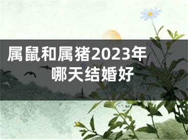 属鼠和属猪2023年哪天结婚好