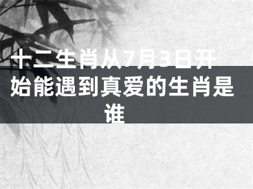十二生肖从7月3日开始能遇到真爱的生肖是谁 