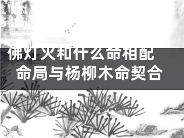佛灯火和什么命相配 命局与杨柳木命契合