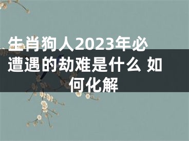 生肖狗人2023年必遭遇的劫难是什么 如何化解