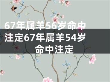 67年属羊56岁命中注定67年属羊54岁命中注定