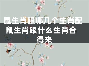 鼠生肖跟哪几个生肖配 鼠生肖跟什么生肖合得来