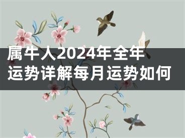 属牛人2024年全年运势详解每月运势如何