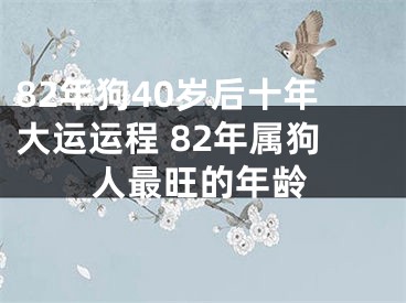 82年狗40岁后十年大运运程 82年属狗人最旺的年龄